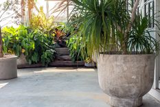 JARDÍN Foto: SHUTTERSTOCK