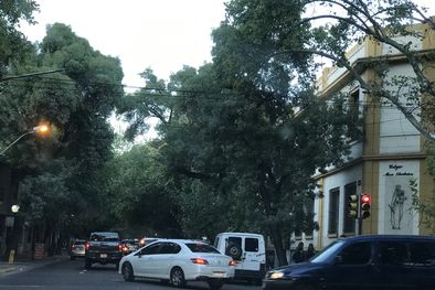 MDZol | Foto: lector