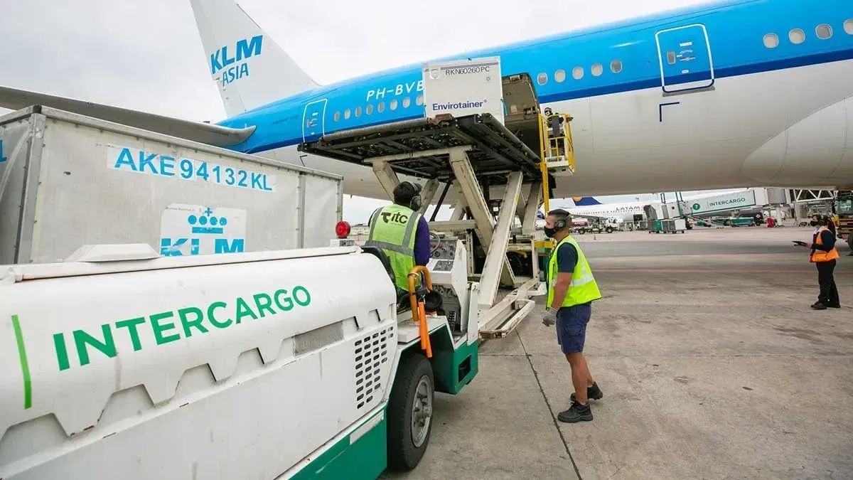El Gobierno privatiza Intercargo: cuáles son los detalles de la licitación internacional