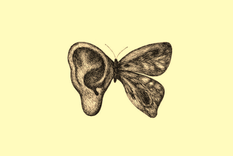 test de personalidad