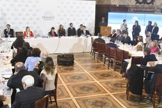 La jornada será similar a la del miércoles pasado, con idas y vueltas con los senadores. Foto: Juan Mateo Aberastain/MDZ