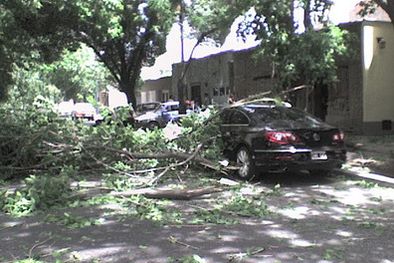 MDZol | Ramas caídas en la intersección de Pedro Pascual Segura y 25 de Mayo en Ciudad.