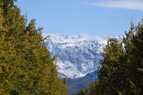 El pronóstico indica que el domingo en Mendoza será agradable y con ascenso de la temperatura. El pronóstico indica que el domingo en Mendoza será agradable y con ascenso de la temperatura.