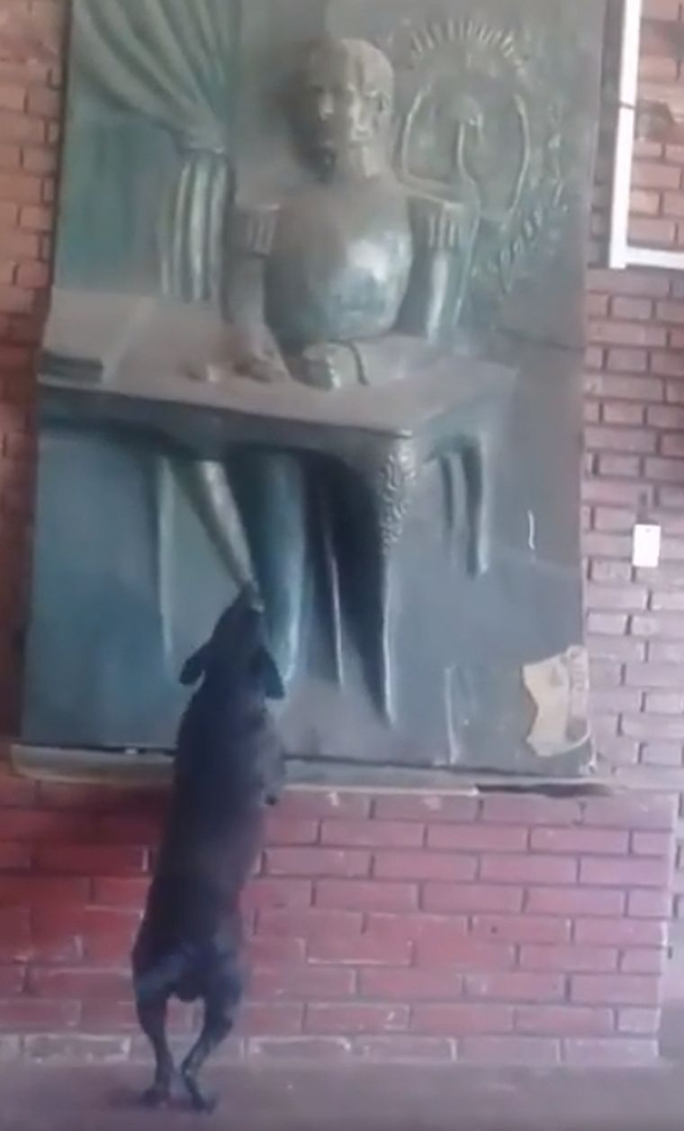 Firme El perro parece emocionarse ante la estatua de José de San Martín.