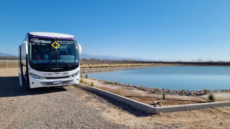 El Bus que lleva a los turistas por las bodegas