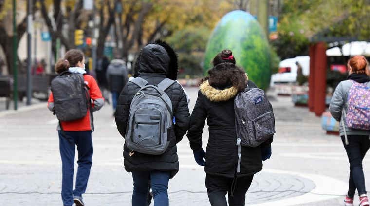 El avance del frente polar se sintió en toda la Patagonia y el centro del país, con marcas bajo cero en varias ciudades. Foto: ALF PONCE MERCADO / MDZ