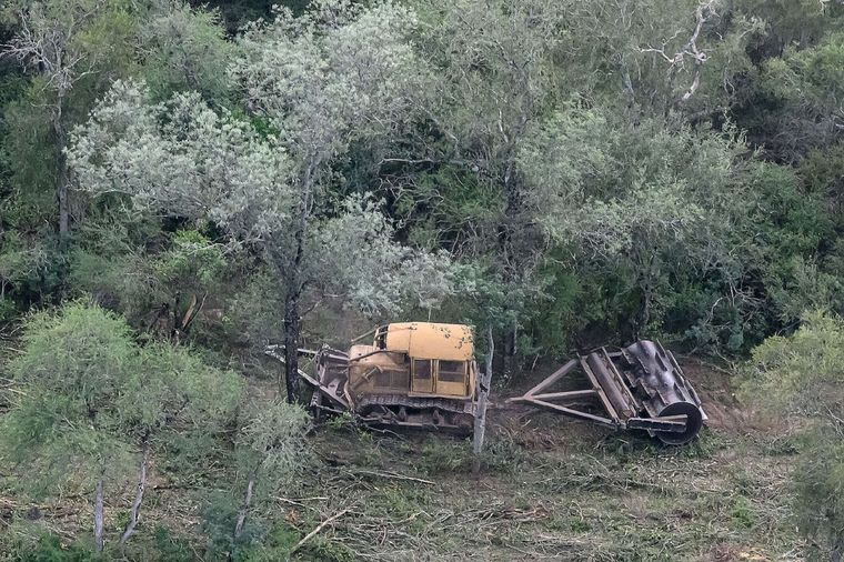 Foto: Martin Katz / Greenpeace