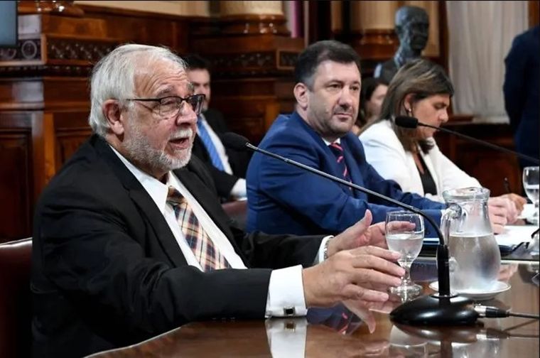 El presidente de la comisión de Justicia y Asuntos Penales de la Cámara alta, Juan Carlos Pagotto. Foto: Prensa Senado
