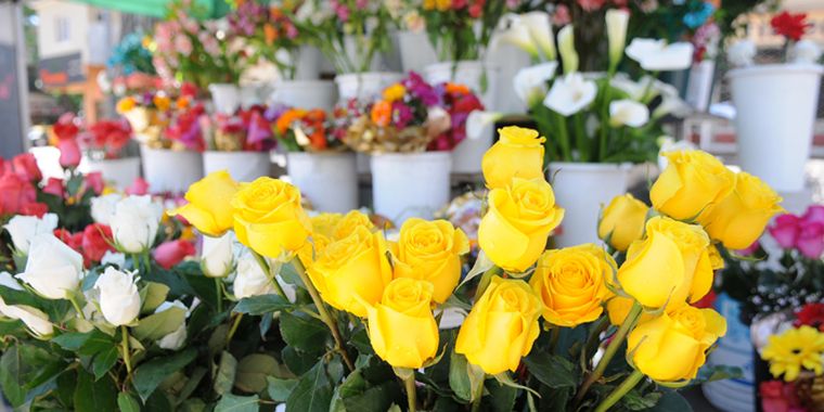 Foto: Nacho Gaffuri / MDZ