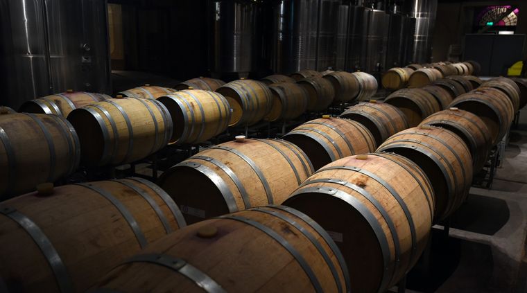 El mundo del vino presentó algunos cambios importantes en sus protagonistas en la última semana. Foto: ALF PONCE MERCADO / MDZ