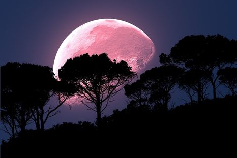 ¿Por qué la luna rosa se vincula con la maternidad?