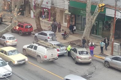 MDZol | Foto: Gentileza