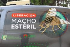 Mendoza abastecerá de material biológico a las provincias patagónicas durante ocho meses.