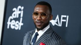 Mahershala Ali ya no piensa en Blade. Mahershala Ali ya no piensa en Blade.