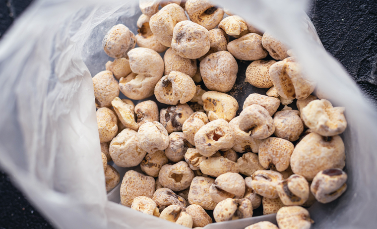 El organismo específico las irregularidades de estas tutucas. Foto: Shutterstock