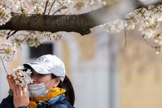 nuevo sintoma de coronavirus: alucinaciones olfativas