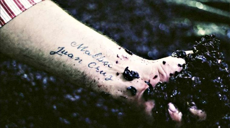 La mano del reconocido enólogo. Foto: Martin Lucesole