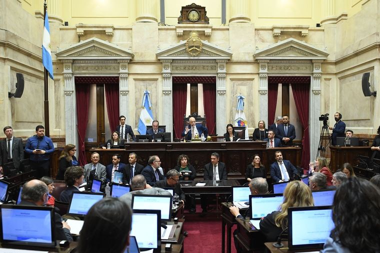 El Senado debatirá el proyecto de ley de Ficha Limpia que ya cuenta con media sanción en Diputados. Foto: Prensa Senado