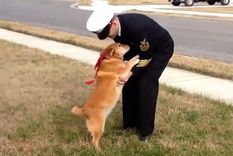 Foto: www.lapatilla.com