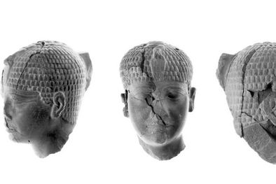 MDZol | Foto: Live Science