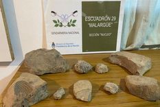 El material que descubrieron Foto: Gendarmería Nacional