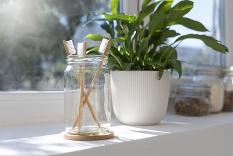 Los mejores consejos de los que saben de jardinería. Fuente: Freepik. Los mejores consejos de los que saben de jardinería. Fuente: Freepik.