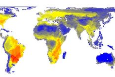 hoy se conmemora  el dia internacional de los derechos humanos