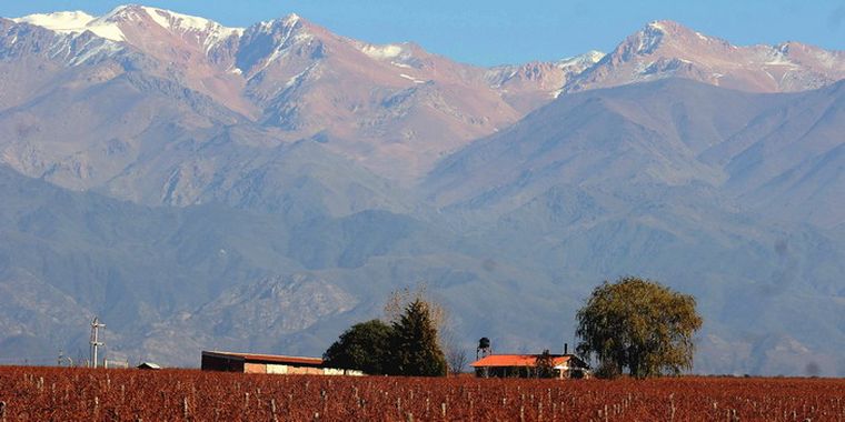 Foto: Alf Ponce / MDZ