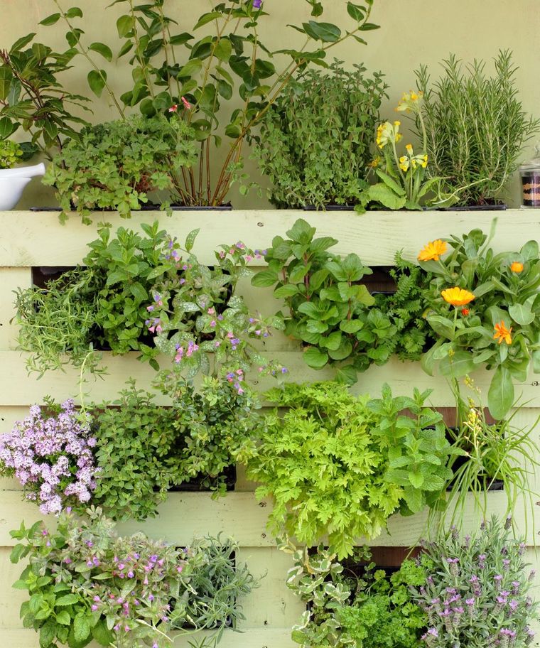 Jardinería vertical combate la ansiedad. Jardinería vertical combate la ansiedad.