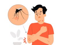 El sistema inmunológico de cada persona reacciona de forma diferente a las picaduras de insectos, lo que produce síntomas únicos en cada víctima, desde hinchazón hasta picazón y dolor. Foto: Freepik