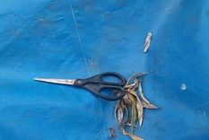 La mujer encontró a su pareja con la niña. Le había quitado la ropa y la estaba besando abajo del ombligo