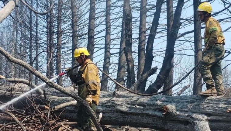 Los bomberos siguen trabajando para combatir las llamas en El Bolsón Foto: Gobierno de Rio Negro