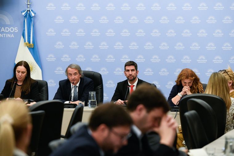 Plenario de comisiones debate Ficha Limpia. Foto: X Micaela Moran