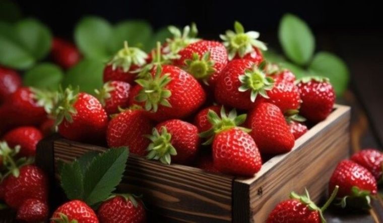 El truco para desinfectar la frutilla usando un ingrediente de cocina Foto: Shutterstock