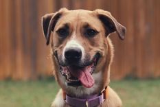 Este simple gesto es más profundo de lo que parece. Foto: Archivo