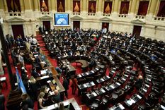 Expectativa por lo que pueda ocurrir en el Senado de la Nación Foto: Archivo