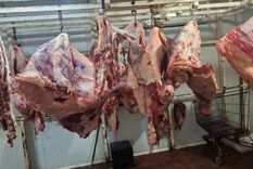 Parte de la carne secuestrada en un trozadero de Las Heras.&nbsp;