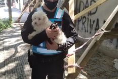 Las dos personas involucradas fueron imputadas. Foto: NA