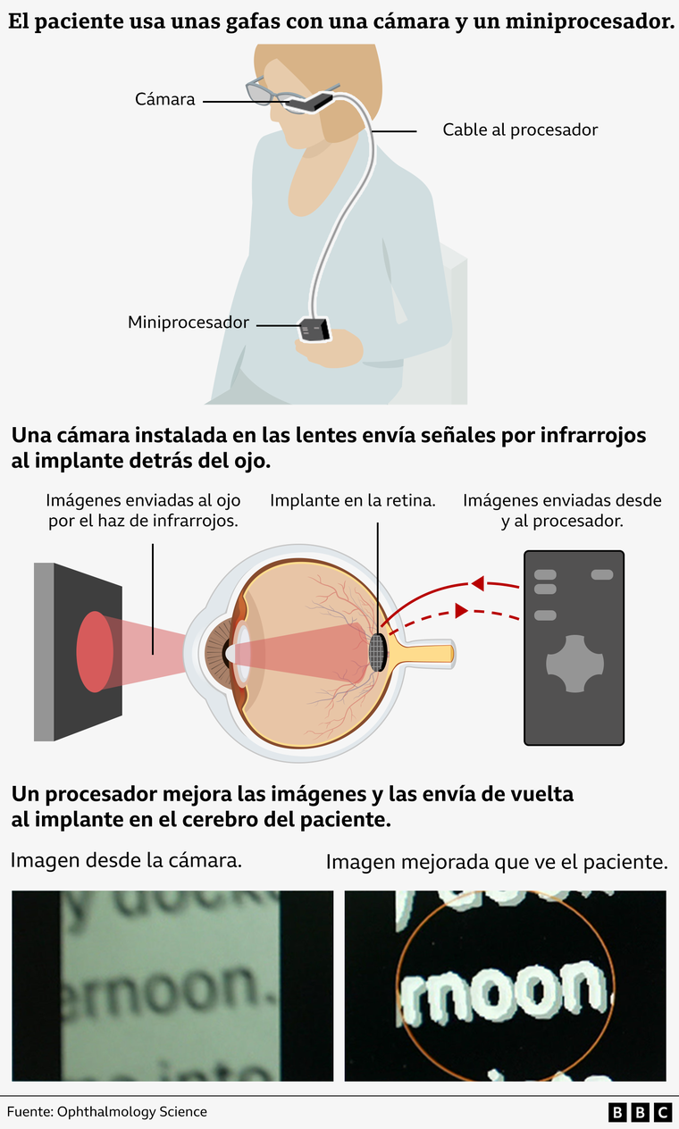https://www.bbc.com/mundo/articles/c2emg1l1j73o