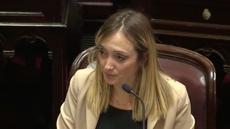 La senadora Anabel Fernández Sagasti en la sesión de este jueves.