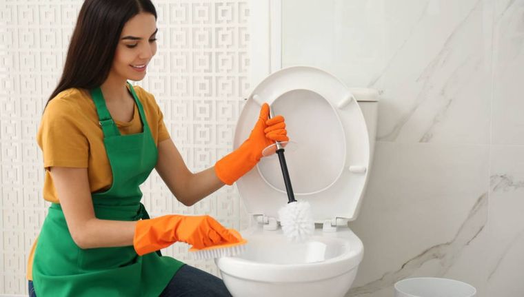 Sencillos trucos para dejar el inodoro como recién comprado Foto: Shutterstock