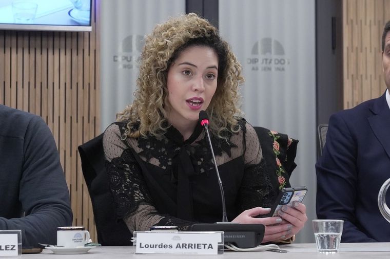 La diputada Lourdes Arrieta se quedó poder en Mendoza. Foto: X @lulumicart