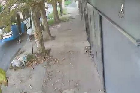 Un niño de cinco años resultó herido este lunes tras protagonizar un violento accidente al descender de un colectivo en la localidad bonaerense de Villa Fiorito. Un niño de cinco años resultó herido este lunes tras protagonizar un violento accidente al descender de un colectivo en la localidad bonaerense de Villa Fiorito.