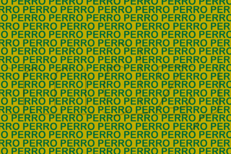 ENIGMA VISUAL ENIGMA VISUAL, RETO VISUAL, PALABRA Foto: MDZ ONLINE