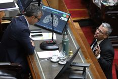 Germán Martínez invitó a pelear a Martín Menem en plena sesión por Ficha Limpia. Foto: Noticias Argentinas