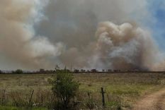 Un nuevo incendio forestal se desencadenó este jueves en la Reserva de Punta Lara. Foto: 0221 La Plata Un nuevo incendio forestal se desencadenó este jueves en la Reserva de Punta Lara. Foto: 0221 La Plata