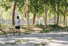 mendoza seguira en alerta y continuaran los fuertes vientos este lunes, segun el pronostico