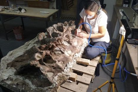 El nombre de esta especie de dinosaurio fue elegido a raíz de un ciudadano de Chubut. El nombre de esta especie de dinosaurio fue elegido a raíz de un ciudadano de Chubut.