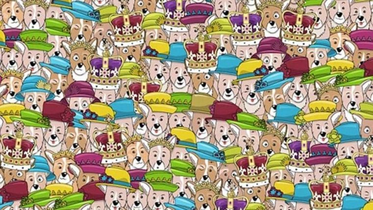 ACERTIJO VISUAL ACERTIJO VISUAL, RETO VISUAL, REINA ISABEL II Foto: Archivo MDZ