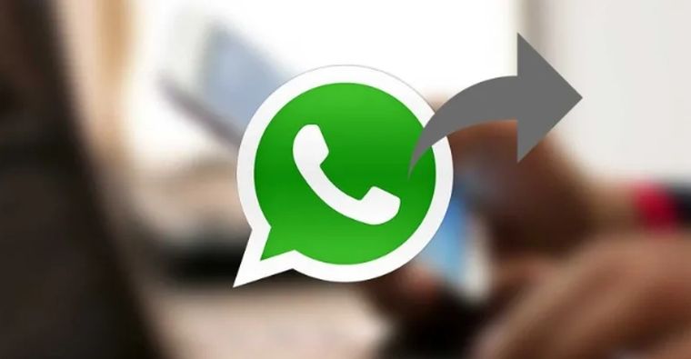 32481.png